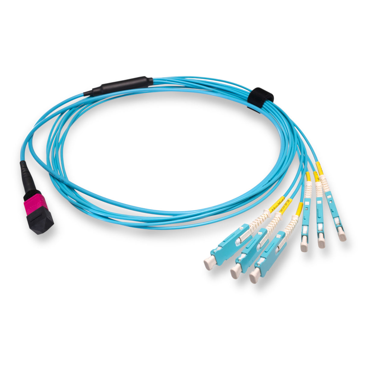 12-Fiber Non-Pinned MPO/UPC to  6 x SN/UPC Fanout Cable | Corning® ClearCurve® OM4 Multimode Optical Fiber | Type B, Magenta MPO Connector, Aqua SN Connector, Aqua Cable Jacket | OFNP Jacket