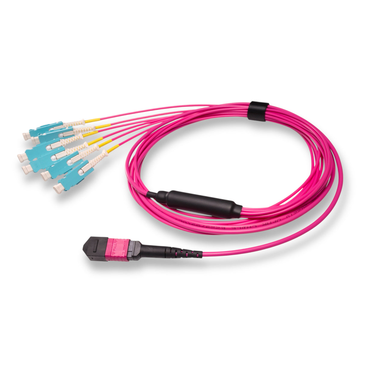 12-Fiber Non-Pinned MPO/UPC to  6 x SN/UPC Fanout Cable | Corning® ClearCurve® OM4 Multimode Optical Fiber | Type B, Magenta MPO Connector, Aqua SN Connector, Magenta Cable Jacket | OFNR Jacket