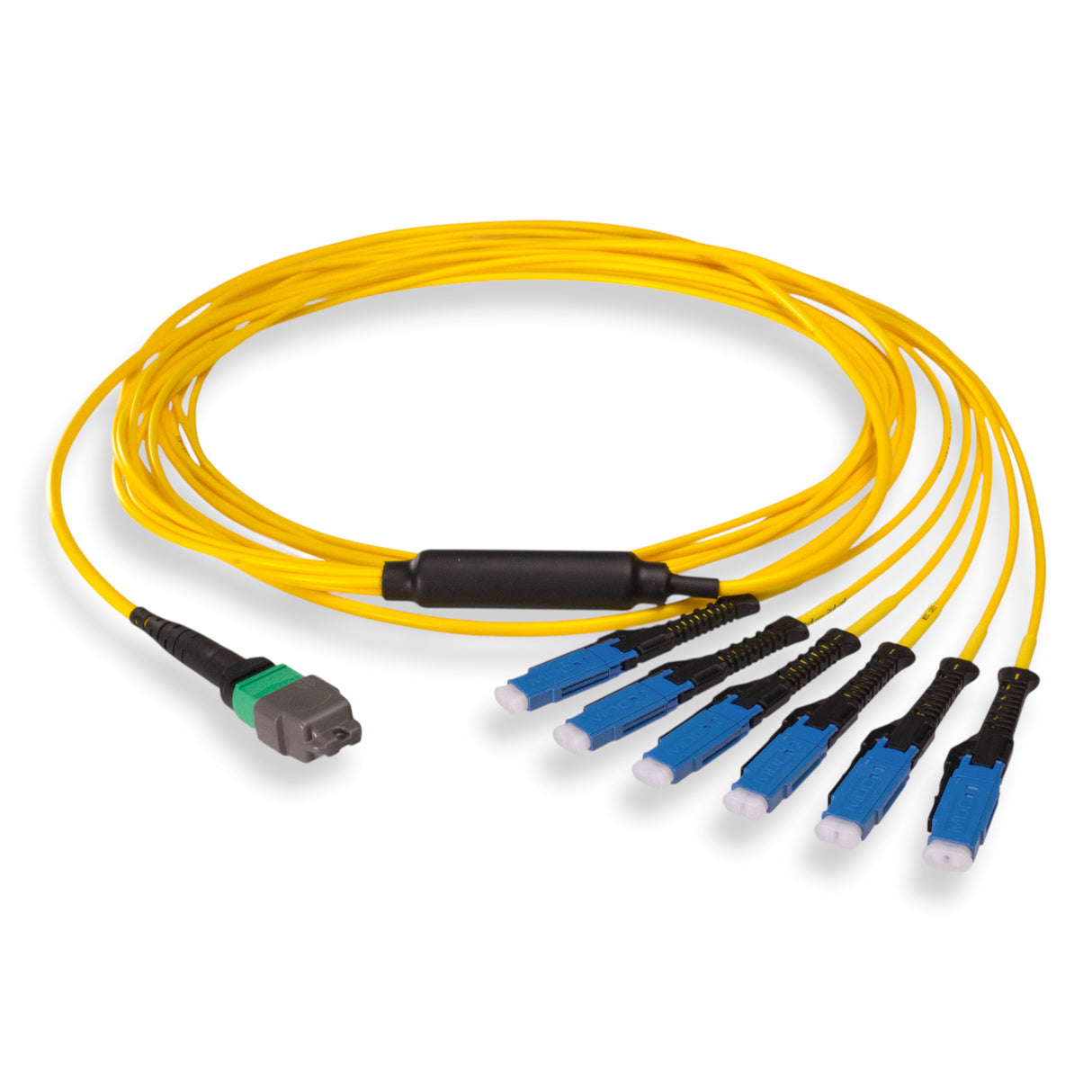 12-Fiber Non-Pinned MTP/APC to  6 x MDC/UPC Fanout Cable | Corning® SMF-28® Ultra Single-mode Optical Fiber | OS1/OS2 Compatible | Type B, Green MTP Connector, Blue MDC Connector, Yellow Cable Jacket | OFNR Jacket