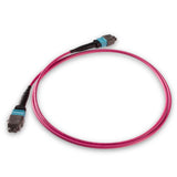 12-Fiber Elite Non-Pinned MTP® APC to MTP® APC Jumper with Corning® ClearCurve® OM4 Multimode Fiber, Type B polarity, Aqua MTP® connectors, and Magenta jacket, optimized for 40GBASE-SR4 and 100GBASE-SR4 multimode parallel optics in high-density data centers.