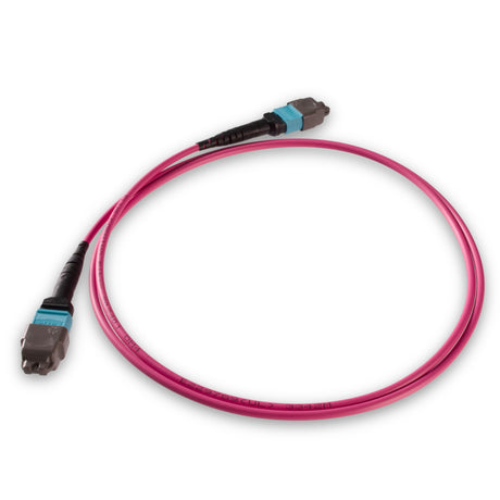 12-Fiber Elite Non-Pinned MTP® APC to MTP® APC Jumper with Corning® ClearCurve® OM4 Multimode Fiber, Type B polarity, Aqua MTP® connectors, and Magenta jacket, optimized for 40GBASE-SR4 and 100GBASE-SR4 multimode parallel optics in high-density data centers.