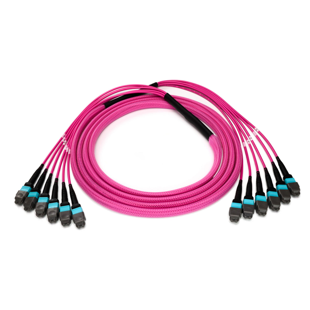 72-Fiber Elite Non-Pinned MTP® to MTP® Trunk Cable with Corning® ClearCurve® OM4 Multimode Fiber, Type B polarity, Magenta Jacket and Aqua Connectors on both ends