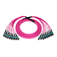 96-Fiber Elite Non-Pinned MTP® to MTP® Trunk Cable with Corning® ClearCurve® OM4 Multimode Fiber, Type B polarity, Magenta Jacket and Aqua Connectors on both ends