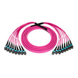96-Fiber Elite Non-Pinned MTP® to MTP® Trunk Cable with Corning® ClearCurve® OM4 Multimode Fiber, Type B polarity, Magenta Jacket and Aqua Connectors on both ends