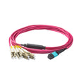 Elite Non-Pinned MTP® to 8xLC Breakout Cable with Corning ClearCurve® OM4 Multimode Fiber, featuring an Aqua MTP® Connector, Magenta Jacket, and Beige LC Connectors, optimized for high-speed 40G/100G data center applications.