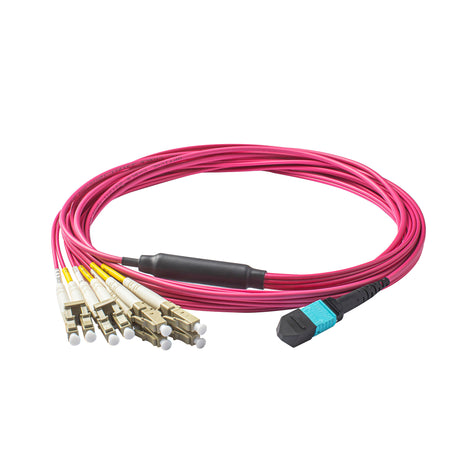 Elite Non-Pinned MTP® to 8xLC Breakout Cable with Corning ClearCurve® OM4 Multimode Fiber, featuring an Aqua MTP® Connector, Magenta Jacket, and Beige LC Connectors, optimized for high-speed 40G/100G data center applications.