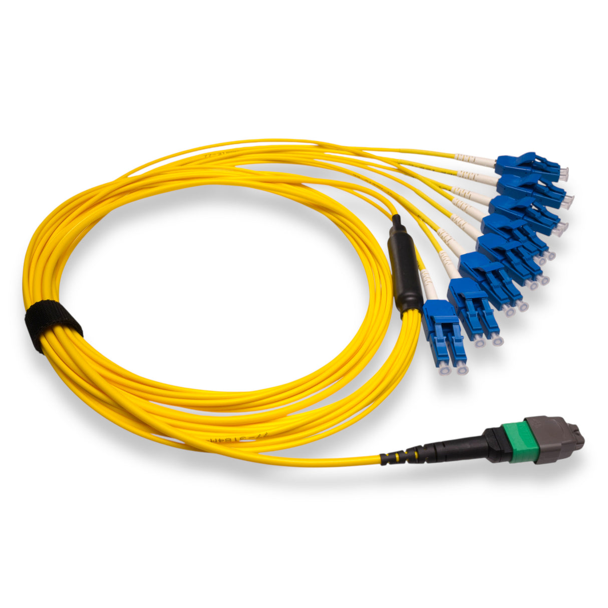 16-Fiber Elite Non-Pinned MTP/APC to 8 x LC Uniboot/UPC Duplex QSFP Type Breakout Cable | Corning SMF-28 Ultra Single-mode Optical Fiber | OS1/OS2 Compatible | Crossover, Green MTP Connector, Blue LC Uniboot Connector, Yellow OFNP Cable Jacket