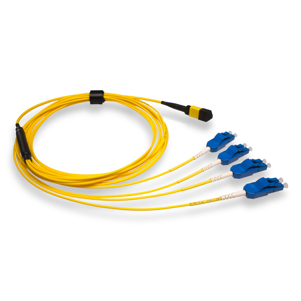 8-Fiber Elite Non-Pinned MTP/APC to 4 x LC Uniboot/UPC Duplex QSFP Type Breakout Cable | Corning SMF-28 Ultra Single-mode Optical Fiber | OS1/OS2 Compatible | Type B, Yellow MTP Connector, Blue LC Uniboot Connector, Yellow OFNP Cable Jacket