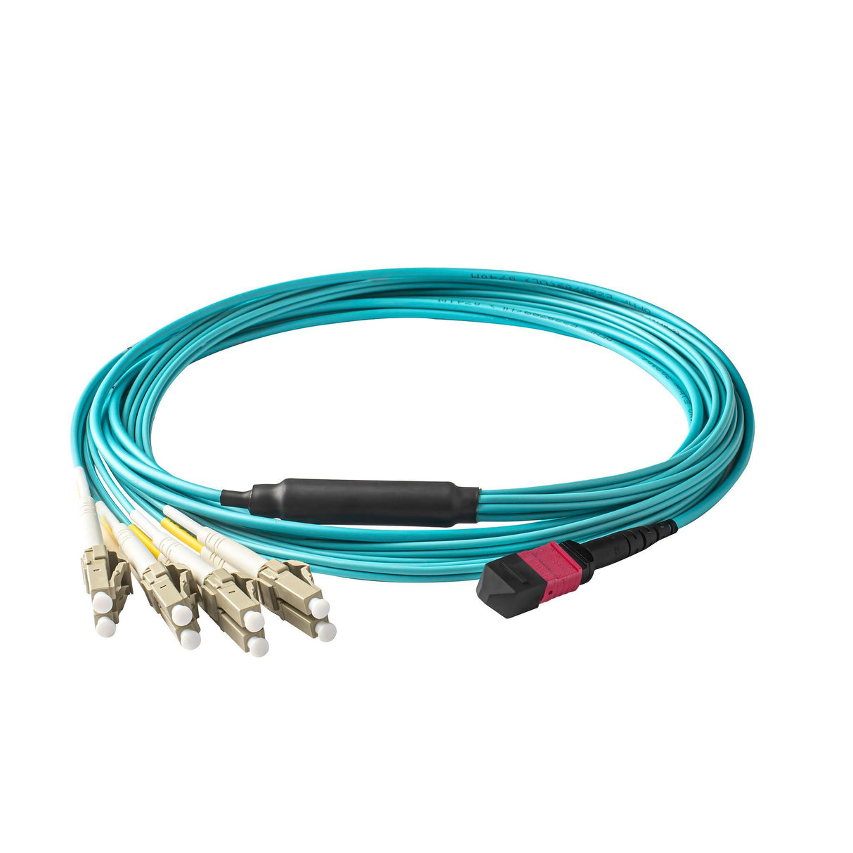 Elite Non-Pinned MTP® to 8xLC Breakout Cable with Corning ClearCurve® OM4 Multimode Fiber, featuring a Magenta MTP® Connector, Aqua Jacket, and Beige LC Connectors, designed for high-speed 40G/100G data center applications.