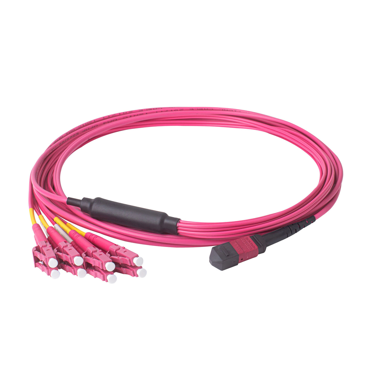 Elite Non-Pinned MTP® to 8xLC Breakout Cable with Corning ClearCurve® OM4 Multimode Fiber, featuring a Magenta MTP® Connector, Magenta Jacket, and Magenta LC Connectors, optimized for high-speed 40G/100G data center applications.