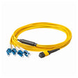 Elite Non-Pinned MTP® to 8xLC Breakout Cable with Corning® SMF-28® Ultra Fiber, optimized for high-density data centers, featuring a Yellow MTP® Connector and Yellow Jacket for 40GBASE-PLR4 & 100GBASE-PSM4 applications.
