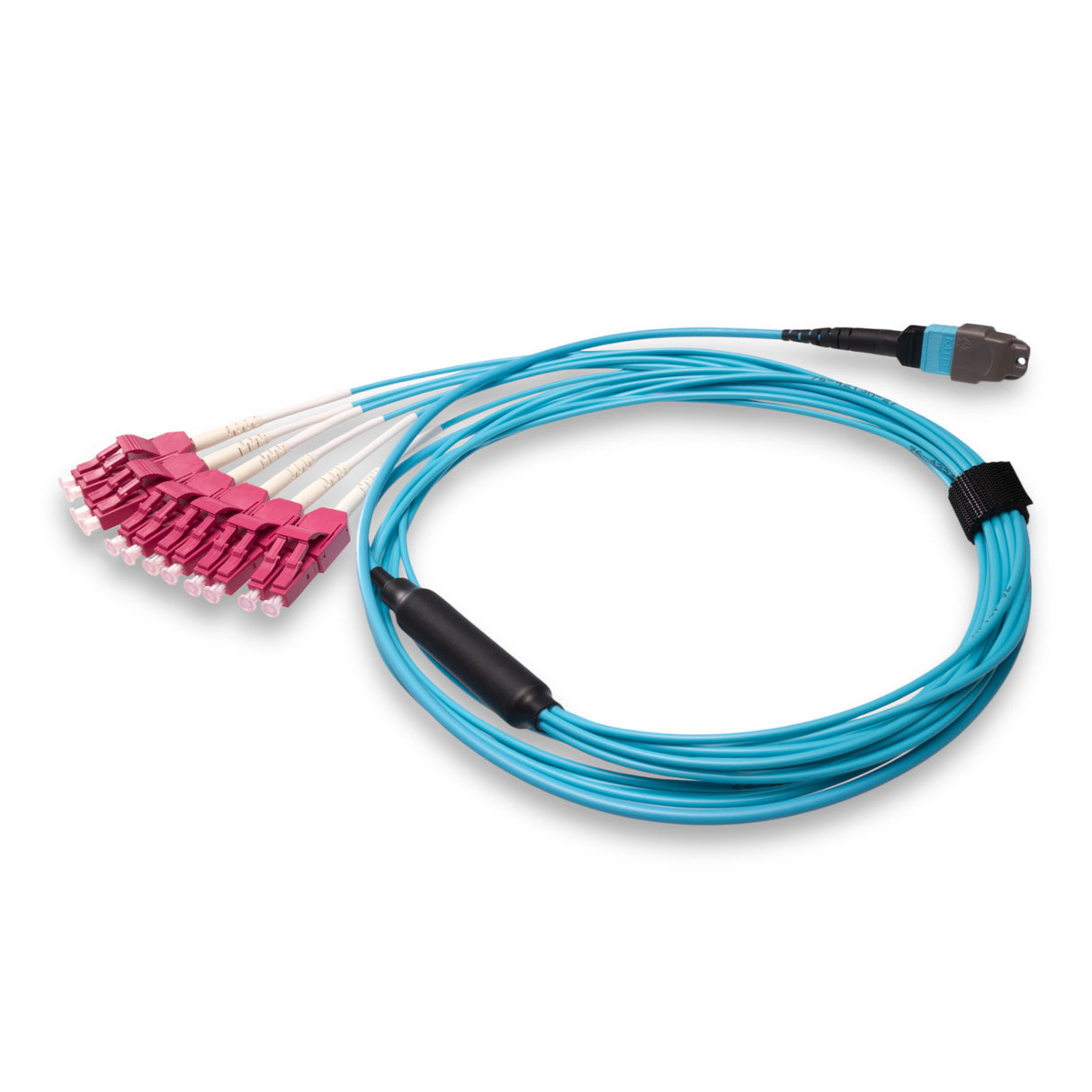 12-Fiber Elite Non-Pinned MTP/UPC to 6 x LC Uniboot/UPC Duplex QSFP Type Breakout Cable | Corning ClearCurve OM4 Multimode Optical Fiber | Type B, Aqua MTP Connector, Magenta LC Uniboot Connector, Aqua OFNP Cable Jacket