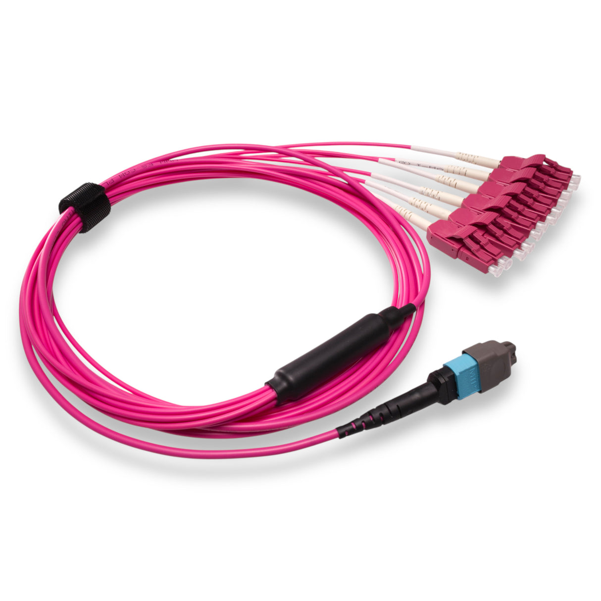 12-Fiber Elite Non-Pinned MTP/UPC to 6 x LC Uniboot/UPC Duplex QSFP Type Breakout Cable | Corning ClearCurve OM4 Multimode Optical Fiber | Type B, Aqua MTP Connector, Magenta LC Uniboot Connector, Magenta OFNP Cable Jacket