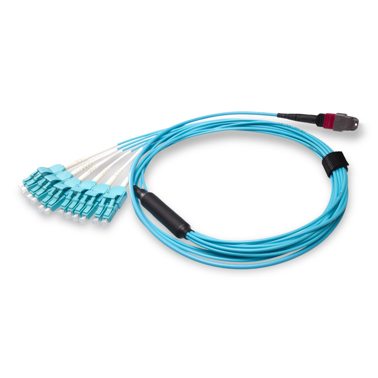 12-Fiber Elite Non-Pinned MTP/UPC to 6 x LC Uniboot/UPC Duplex QSFP Type Breakout Cable | Corning ClearCurve OM4 Multimode Optical Fiber | Type B, Magenta MTP Connector, Aqua LC Uniboot Connector, Aqua OFNP Cable Jacket