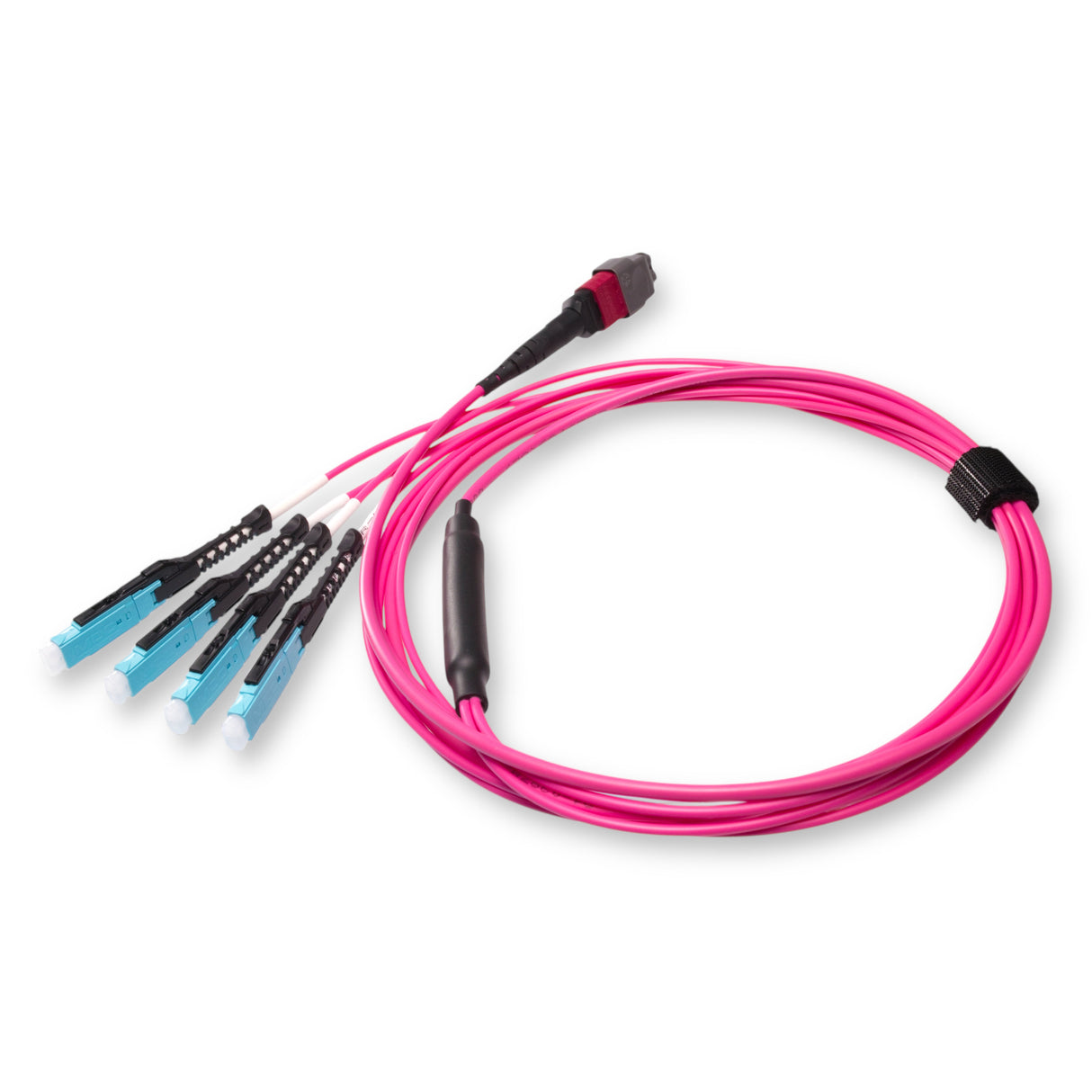 8-Fiber Non-Pinned MTP/UPC to  4 x MDC/UPC Fanout Cable | Corning® ClearCurve® OM4 Multimode Optical Fiber | Type B, Magenta MTP Connector, Aqua MDC Connector, Magenta Cable Jacket | OFNR Jacket