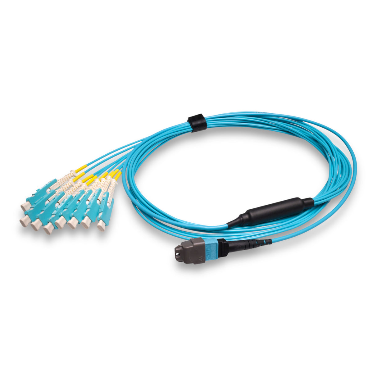 16-Fiber Non-Pinned MTP/UPC to  8 x SN/UPC Fanout Cable | Corning® ClearCurve® OM4 Multimode Optical Fiber | Crossover, Aqua MTP Connector, Aqua SN Connector, Aqua Cable Jacket | OFNR Jacket
