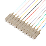 Bundle Deal – SC 12-Fiber 900µm OM4 Fiber Optic Pigtail | Corning ClearCurve | Multimode | 2m | 5-Pack / 10-Pack