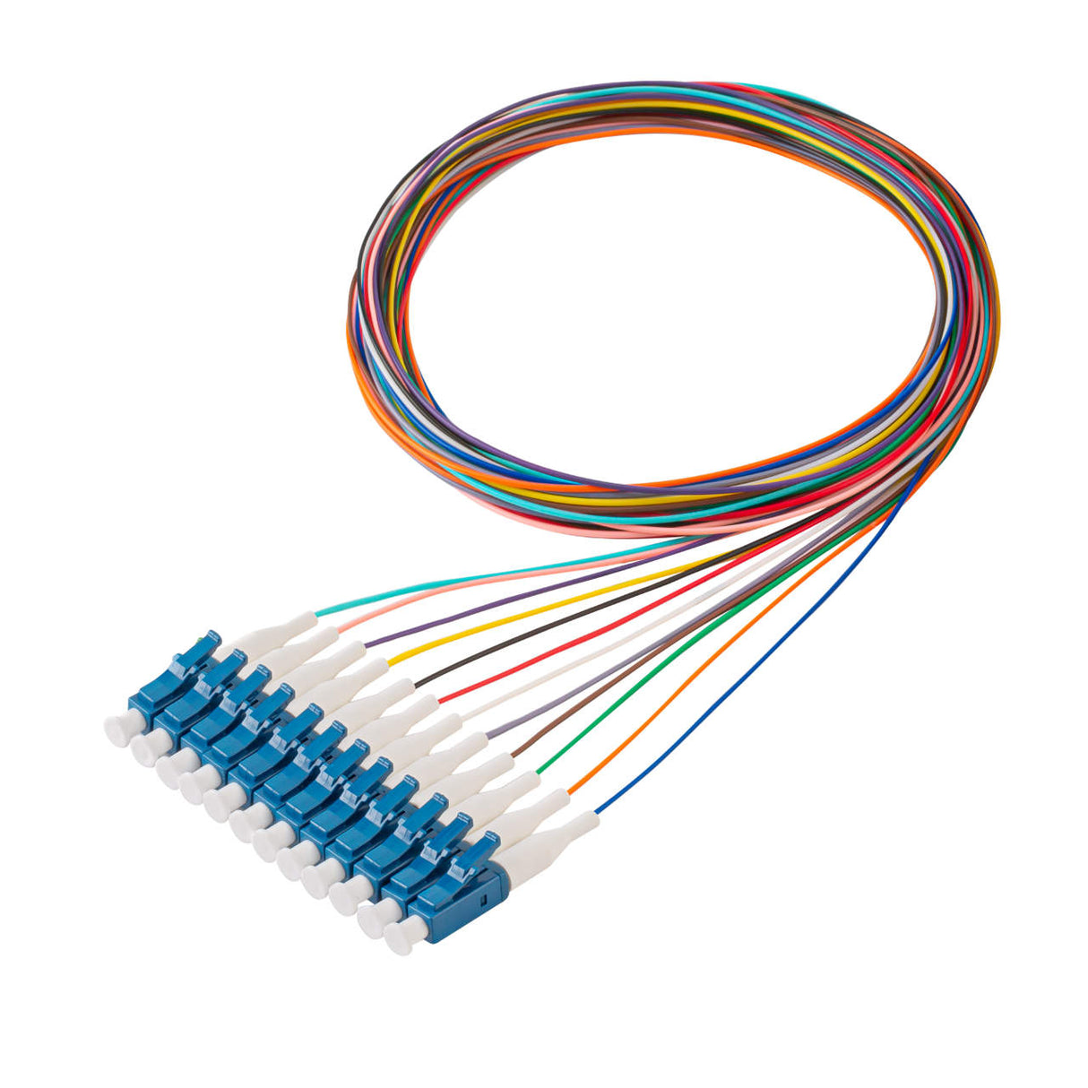 LC/UPC 12-Fiber 900µm Fiber Optic Pigtail | Corning SMF-28 Ultra Fiber | OS1/OS2 Compatible | Single-mode