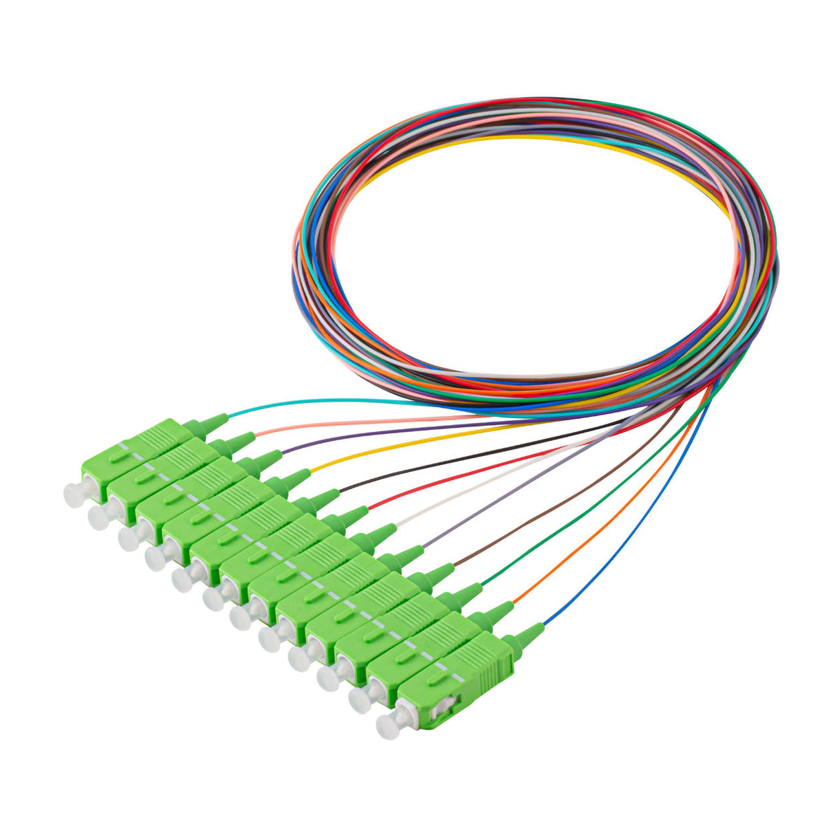 Bundle Deal – SC/APC 12-Fiber 900µm Fiber Optic Pigtail | Corning SMF-28 Ultra Fiber | OS1/OS2 Compatible | Single-mode |  1m | 5-Pack / 10-Pack