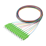 Bundle Deal – SC/APC 12-Fiber 900µm Fiber Optic Pigtail | Corning SMF-28 Ultra Fiber | OS1/OS2 Compatible | Single-mode |  1m | 5-Pack / 10-Pack