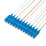 SC/UPC 12-Fiber 900µm Fiber Optic Pigtail | Corning SMF-28 Ultra Fiber | OS1/OS2 Compatible | Single-mode