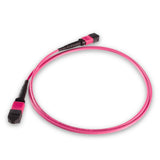 12-Fiber Elite Non-Pinned MPO APC to MPO APC Jumper with Corning® ClearCurve® OM4 Multimode Fiber, Type B polarity, Magenta MPO connectors, and Magenta jacket, optimized for 40GBASE-SR4 and 100GBASE-SR4 multimode parallel optics in high-density data centers.